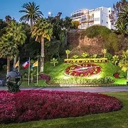 DD_banner_vina_del_mar_250x250